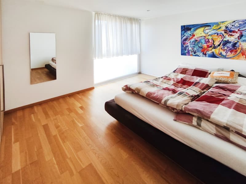 Einfamilienhaus 5,5 mit Garten und Gewerbeflächen (6)