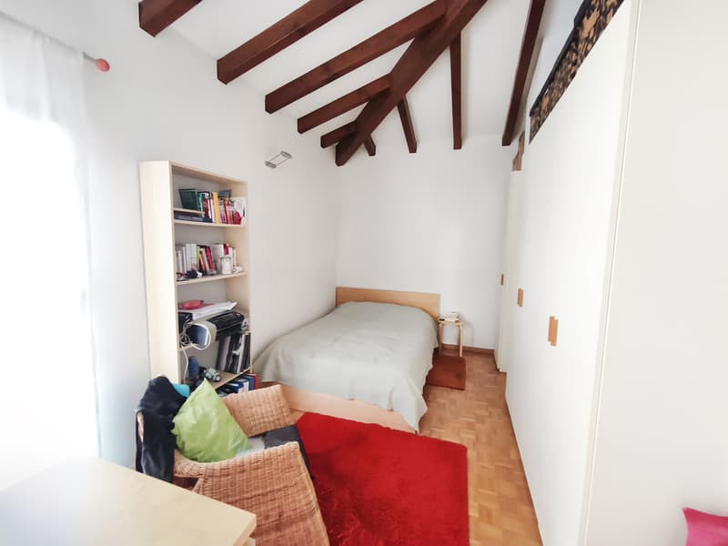 Wonderful 6.5-room house with garden and counter-current swimming pool (10)