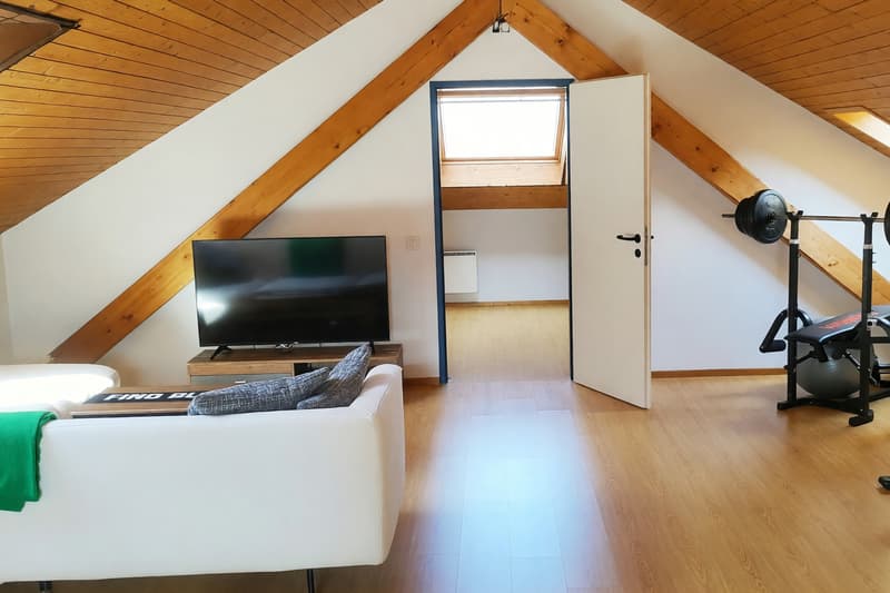 Duplex 5.5 rooms bright with balcony and attic floor (12)