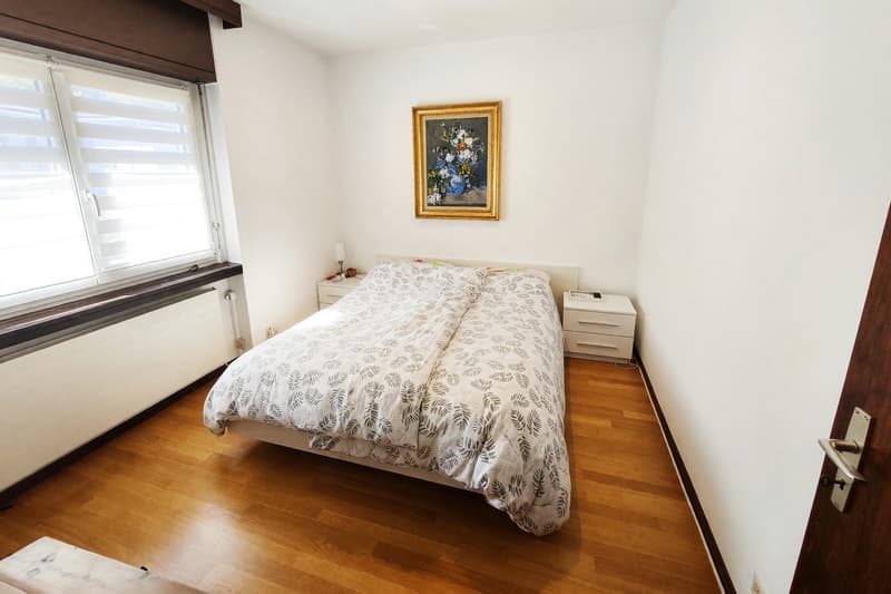 Wohnung 4,5 mit Kamin und drei Terrassen in Manno (6)