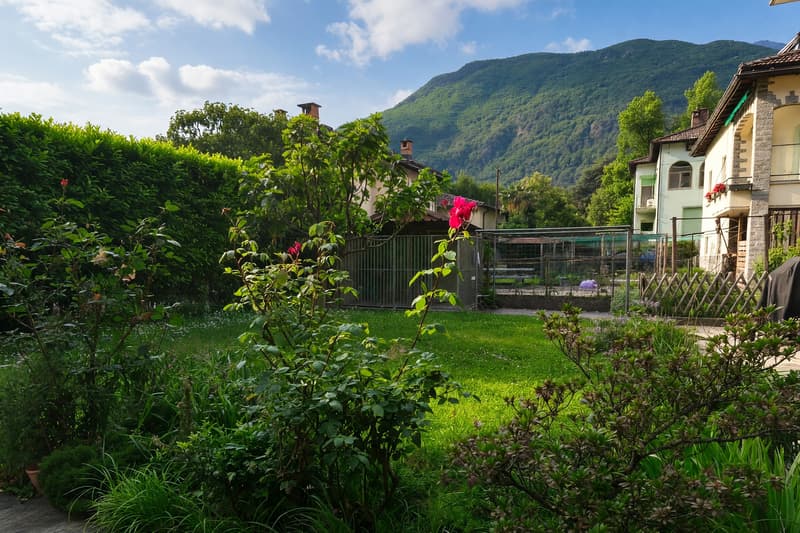 Schönes Appartement 4,5 mit Terrasse in Bellinzona (10)