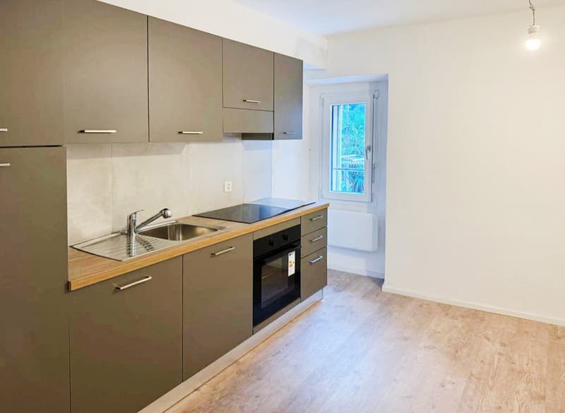 Two-family house with two apartments and storage space (2)