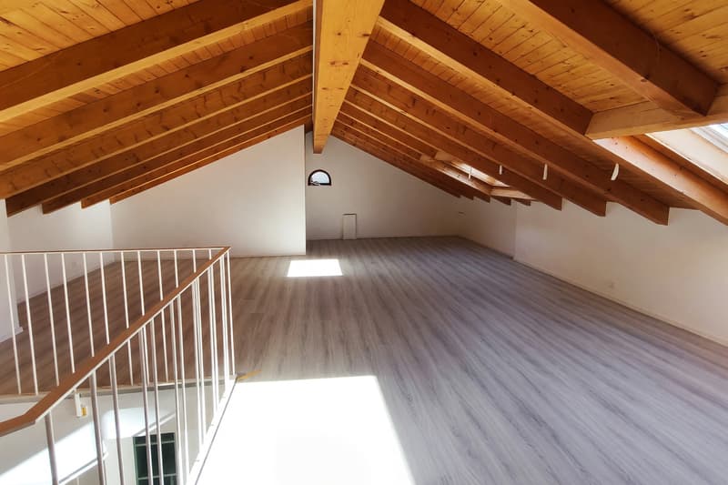 Appartement 3,5 en location, rénové avec jardin et mansarde (12)