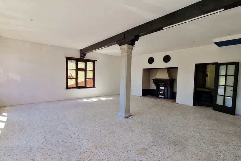 Immeuble plurifamilial avec deux appartements et espace commercial (7)