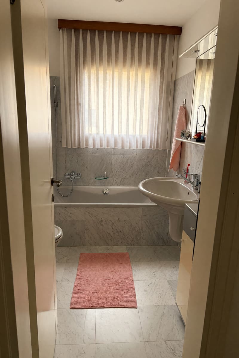 Bellissimo ampio duplex 5,5 locali con terrazza panoramica e camino (11)