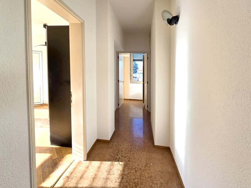 Interessante luminoso 3,5 ristrutturato con terrazza coperta (4)