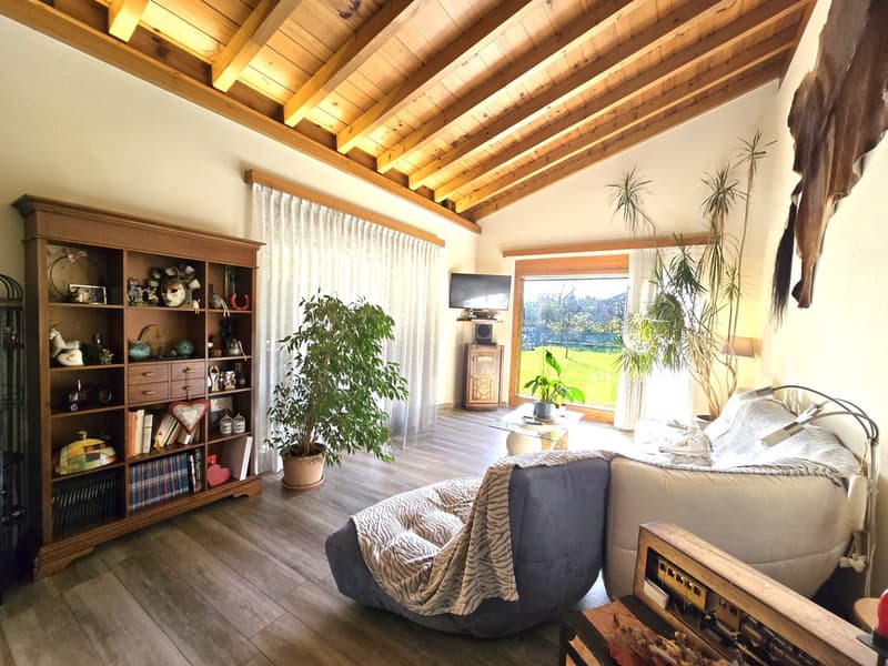 Splendida villa 5,5 con grande giardino in contesto immerso nel verde. (3)