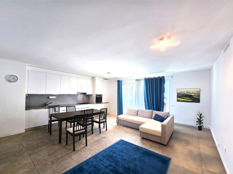 Bel 4,5 locali in stile moderno con grande terrazza coperta. (1)
