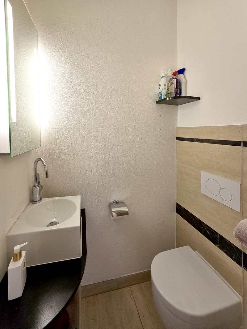 Raffinato 4,5 completamente ristrutturato con terrazza e camino. (13)