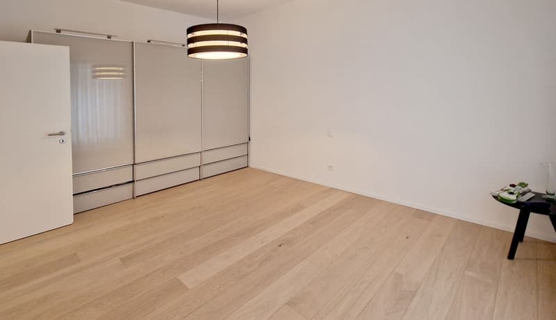 Elegante 3,5 locali in corte meticolosamente ristrutturata a nuovo. (8)
