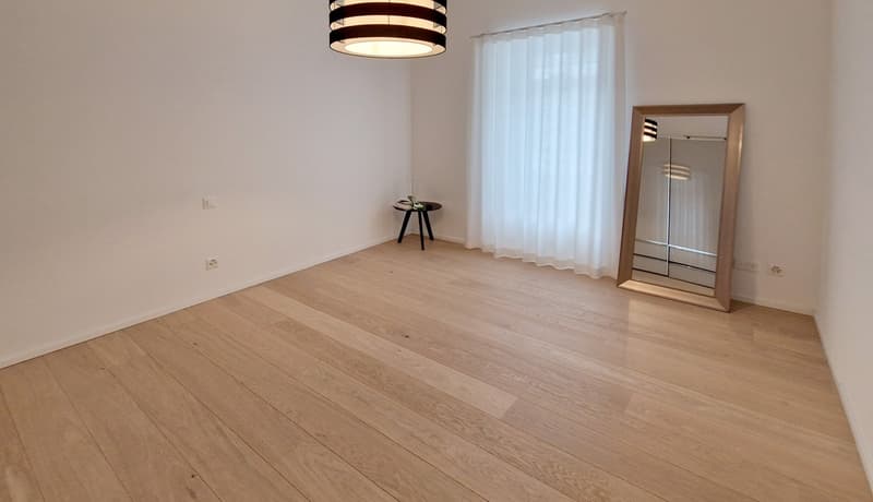 Elegante 3,5 locali in corte meticolosamente ristrutturata a nuovo. (7)