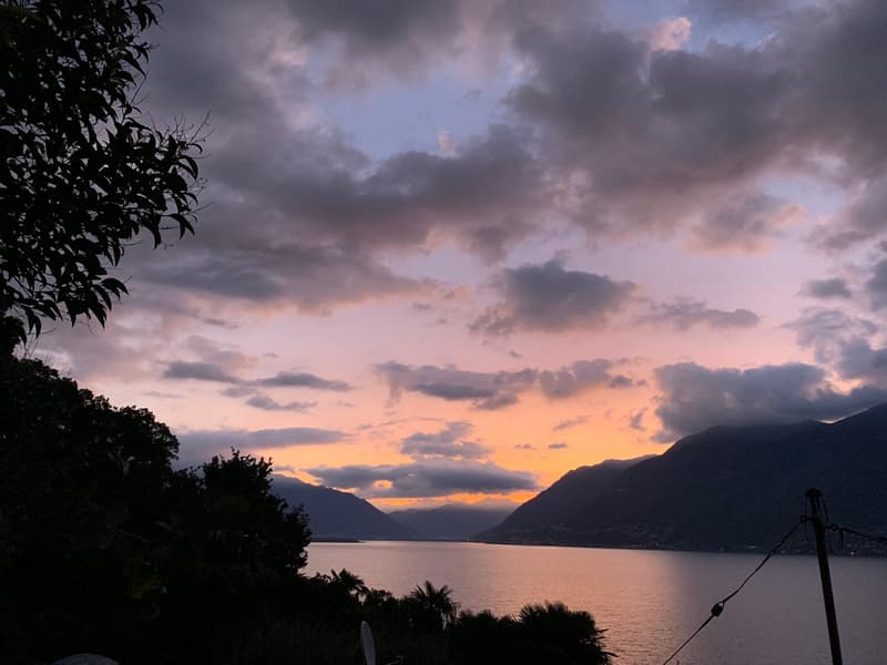 Ampio 5,5 con giardino e terrazza con affaccio sul lago a Brissago (9)