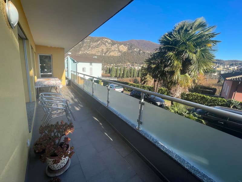 Casa 4,5 completamente ristrutturata con grande giardino e ampio fondo (13)