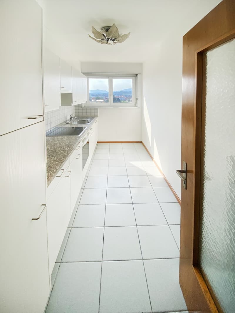 Splendido comodo 3,5 locali ristrutturato con terrazzo panoramico (4)