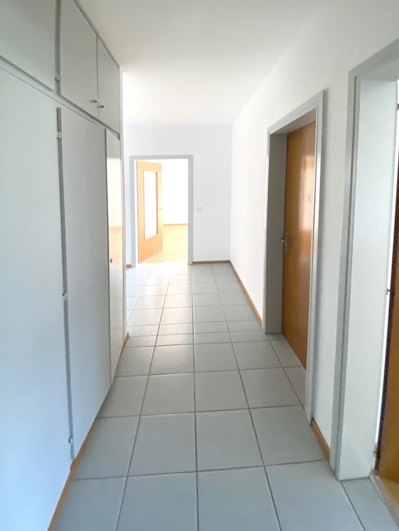 Splendido comodo 3,5 locali ristrutturato con terrazzo panoramico (5)