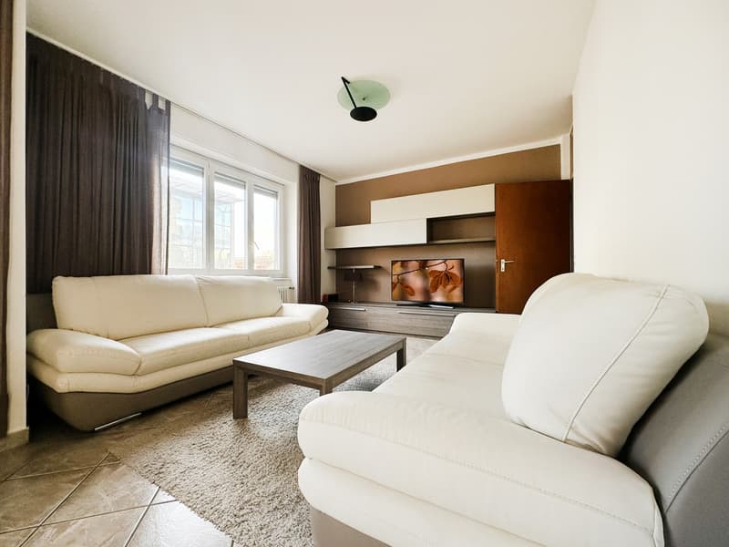 Elegante 3,5 ristrutturato con terrazzo e balcone in zona tranquilla (1)