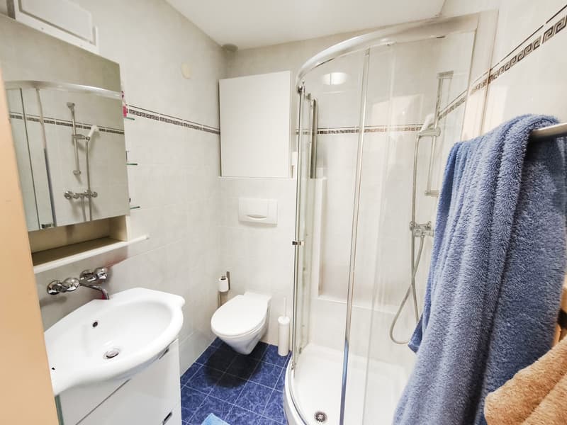 Casa indipendente 5,5 con giardino e spazi commerciali (10)