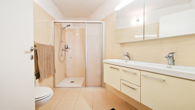 Elegante ampio 3,5 con balcone coperto e posteggio in autorimessa (7)