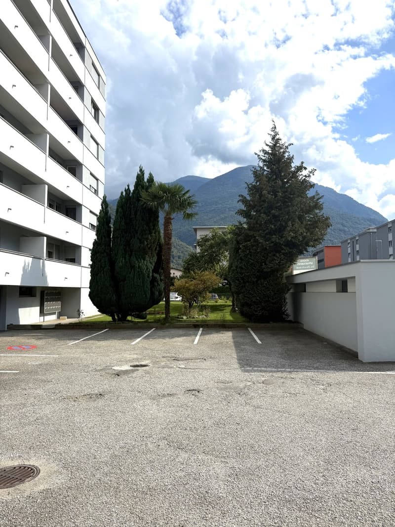 Raffinato 3,5 ristrutturato in medio-alto standing con terrazza. (10)