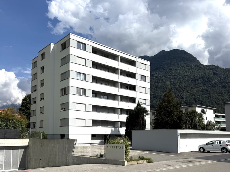 Raffinato 3,5 ristrutturato in medio-alto standing con terrazza. (8)