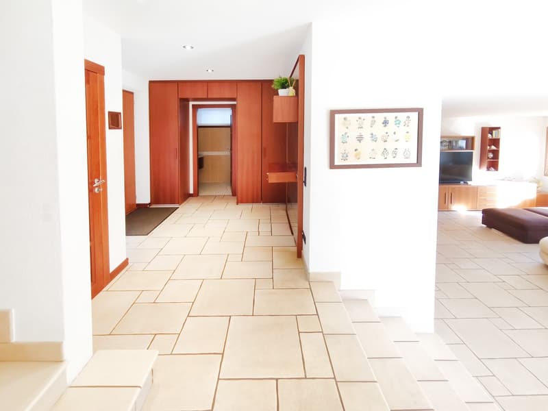 Villa 5,5 locali con piscina riscaldata, giardino privato e ampi spazi (2)