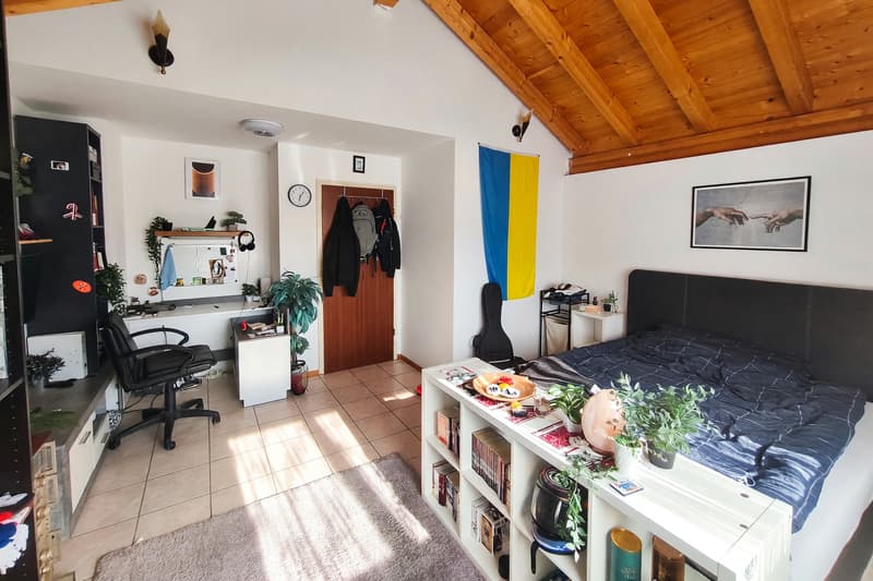 Villetta 5,5 con giardino di 300 mq e mansarda abitabile (13)