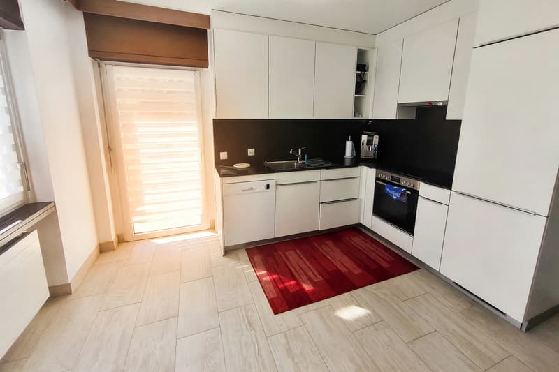 Appartamento 4,5 con camino e tre terrazzi a Manno (5)