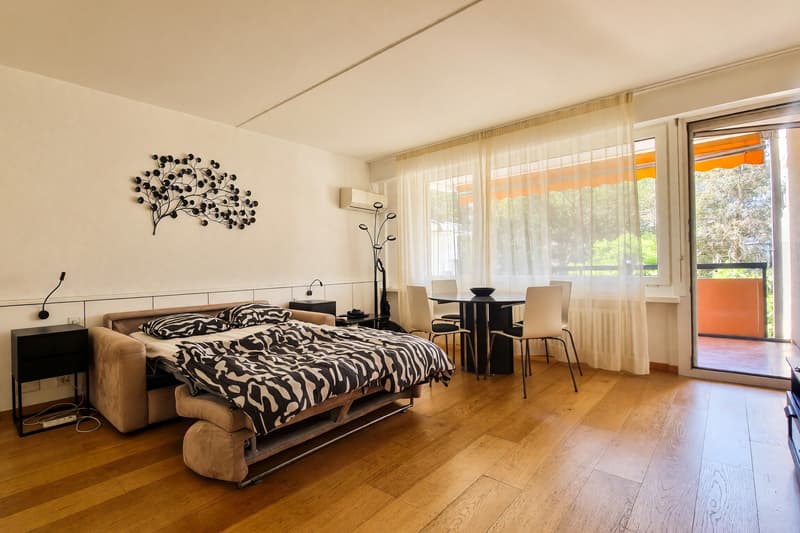 Bellissimo 2,5 locali con terrazza vista lago in residence di vacanza (12)