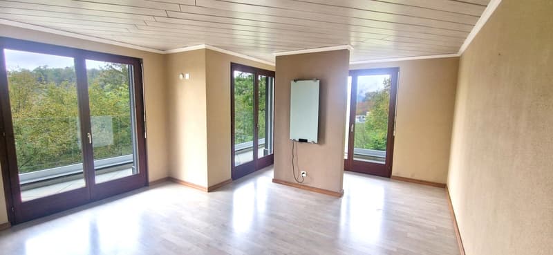 Duplex 4,5 in bifamiliare con panorama, giardino privato e grottino. (6)
