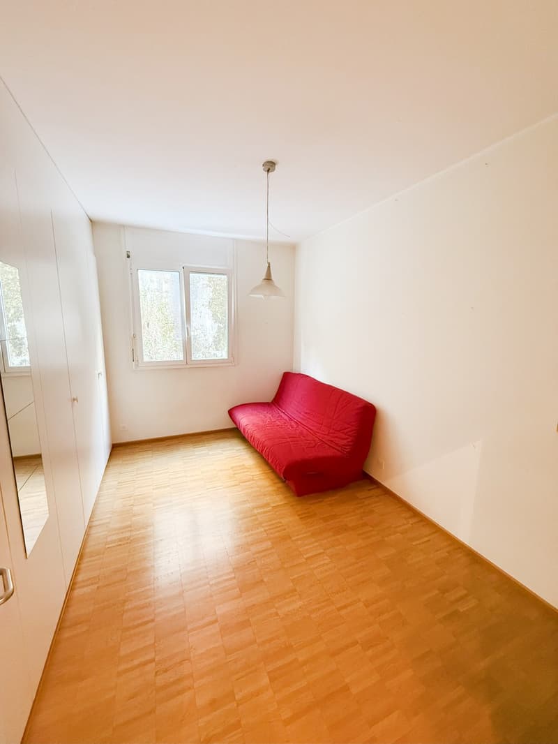 Bellissimo 4,5 ristrutturato con terrazza e vista a Lugano Ronchetto (8)