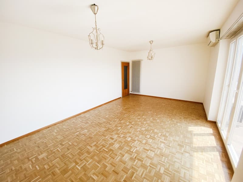 Splendido comodo 3,5 locali ristrutturato con terrazzo panoramico (3)