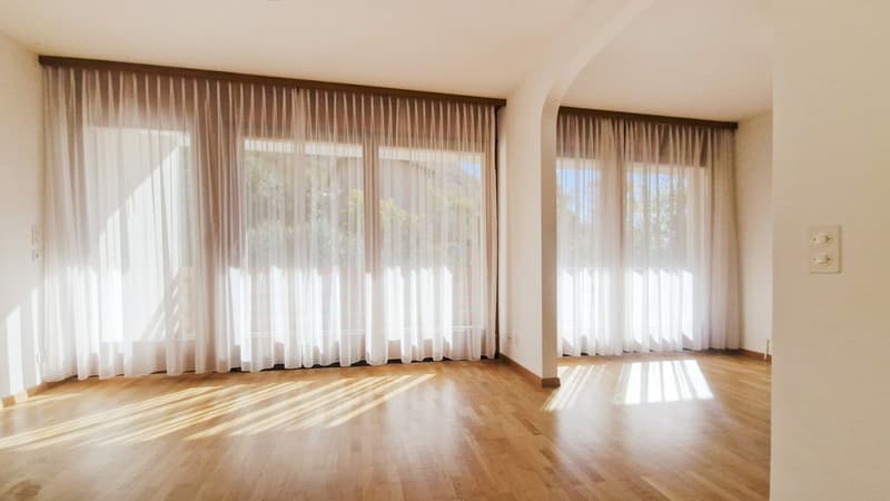 Bellissima casa 5,5 con meravigliosa zona giorno e grande giardino. (6)