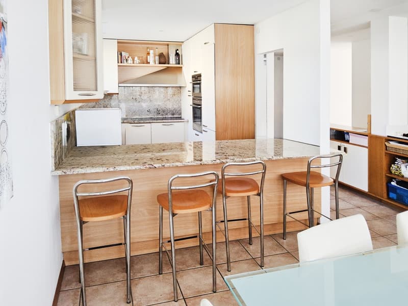 Casa indipendente 5,5 con giardino e spazi commerciali (5)