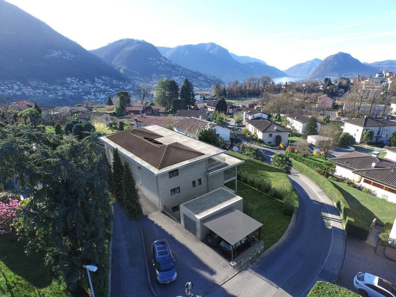 Appartamento 3,5 PT con giardino privato e terrazza panoramica (3)
