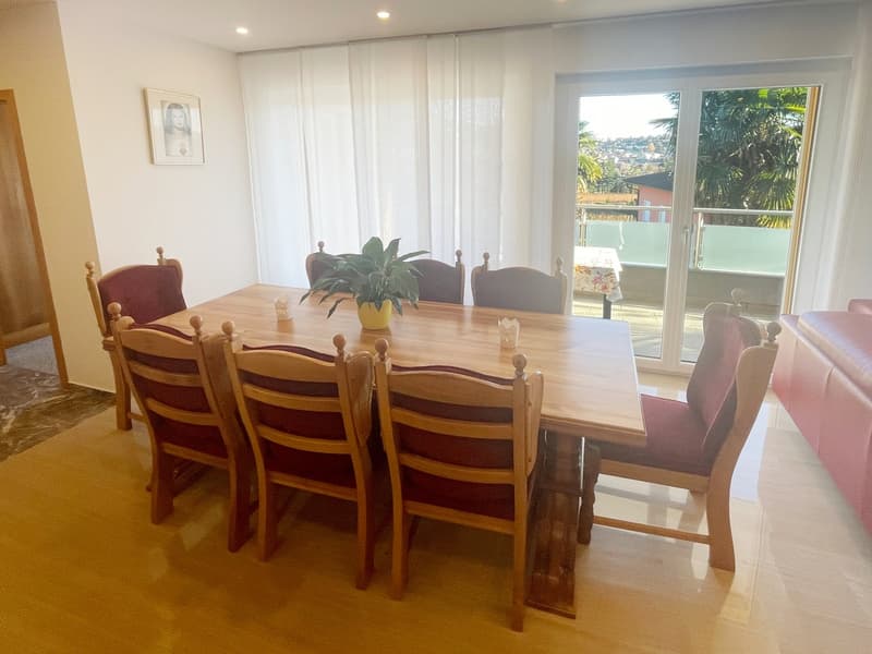 Casa 4,5 completamente ristrutturata con grande giardino e ampio fondo (4)