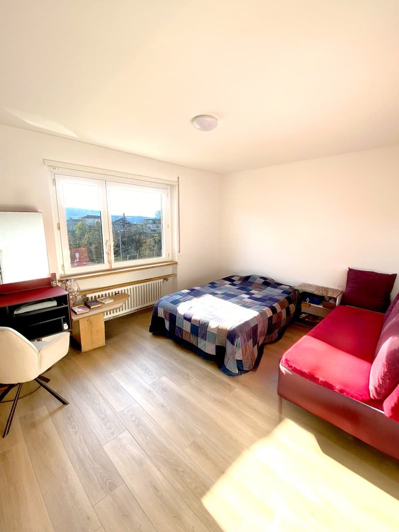 Bel 3,5 recentemente parzialmente ristrutturato con balcone coperto. (4)