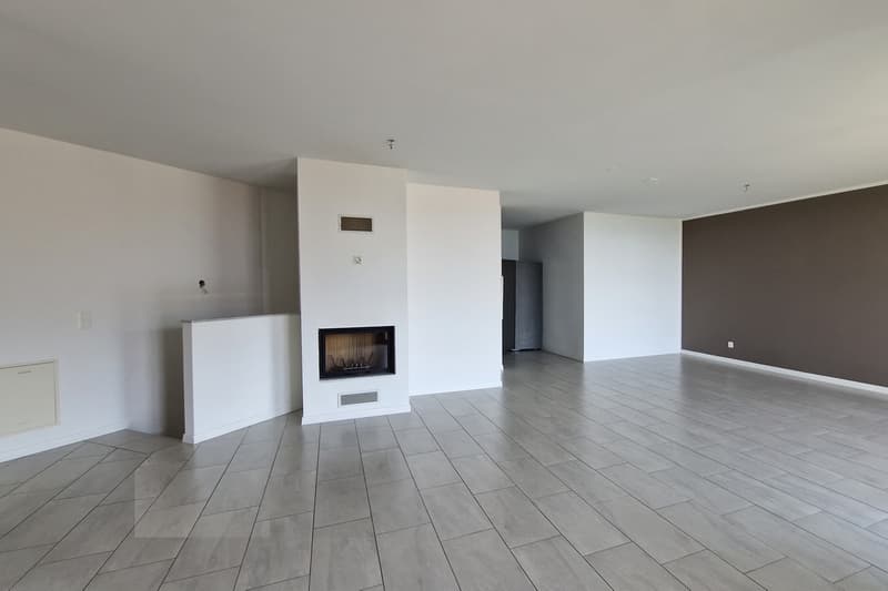 Casa contigua 5,5 locali con terrazza vista lago e giardino a Lopagno (1)