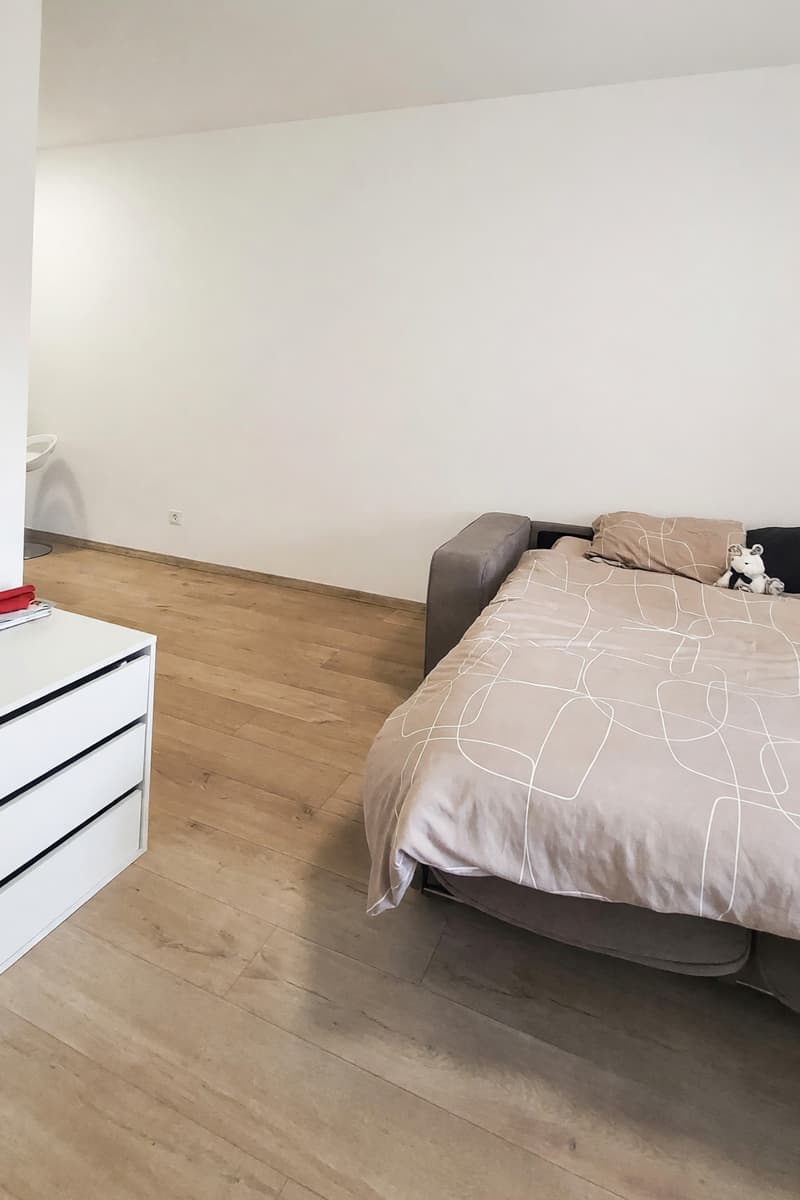 Accogliente 1,5 locali centrale con ampio bagno e spese incluse (2)