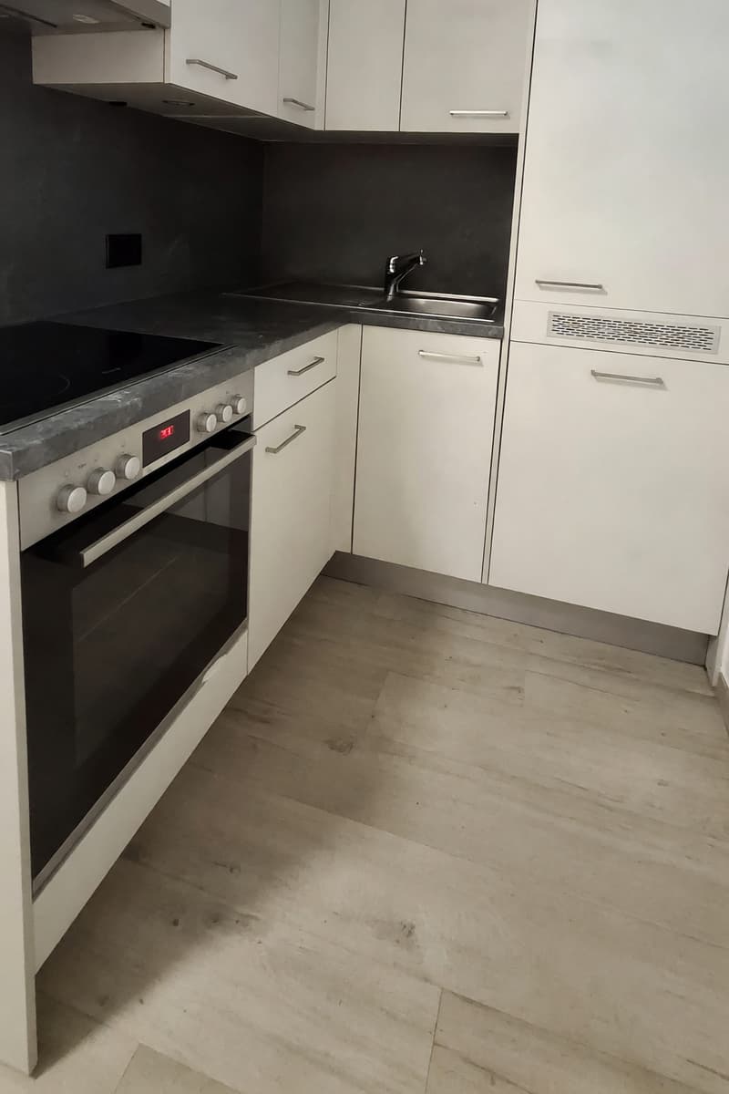Accogliente 1,5 locali centrale con ampio bagno e spese incluse (5)