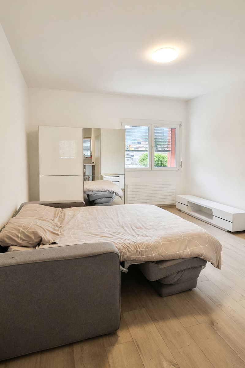 Accogliente 1,5 locali centrale con ampio bagno e spese incluse (3)