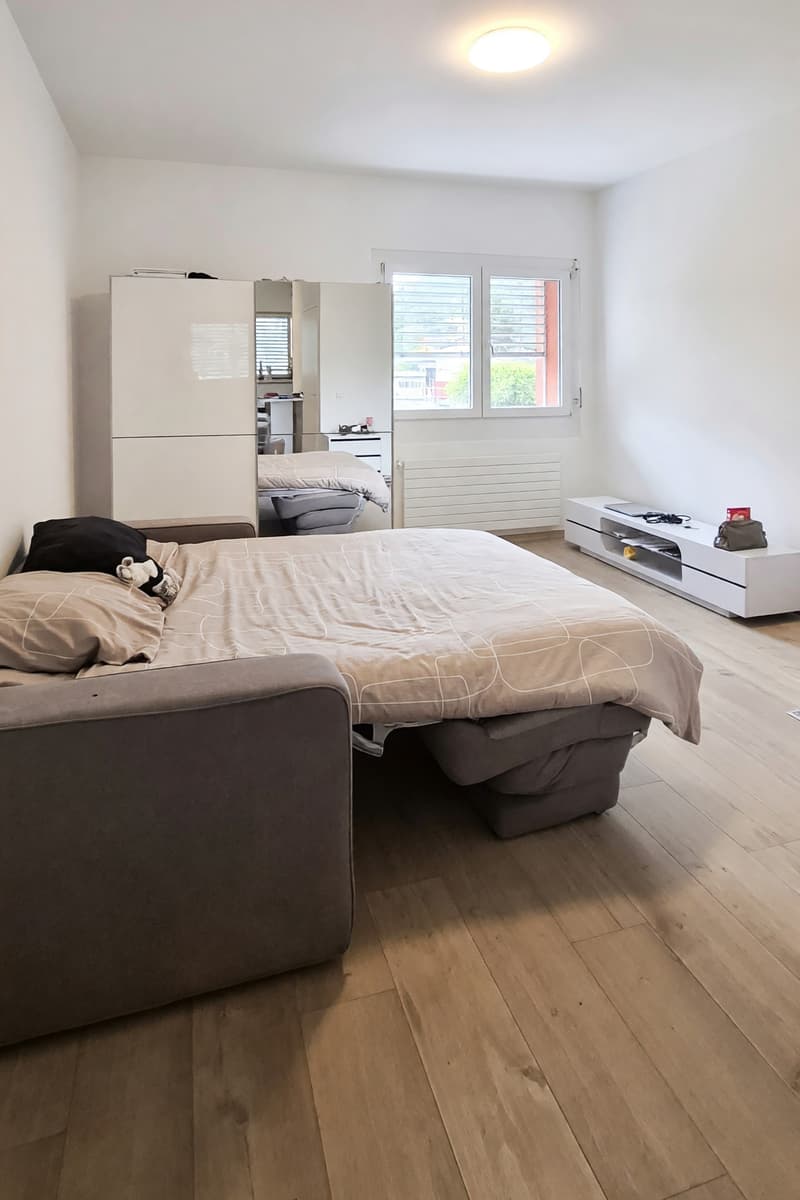 Accogliente 1,5 locali centrale con ampio bagno e spese incluse (1)