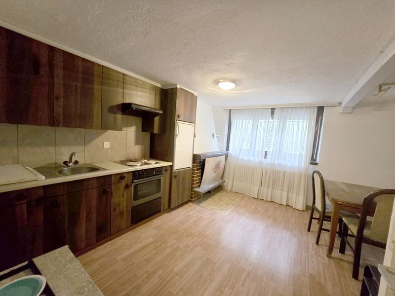 Bella villetta bifamiliare 3,5 e 2,5 ristrutturata con giardino (12)