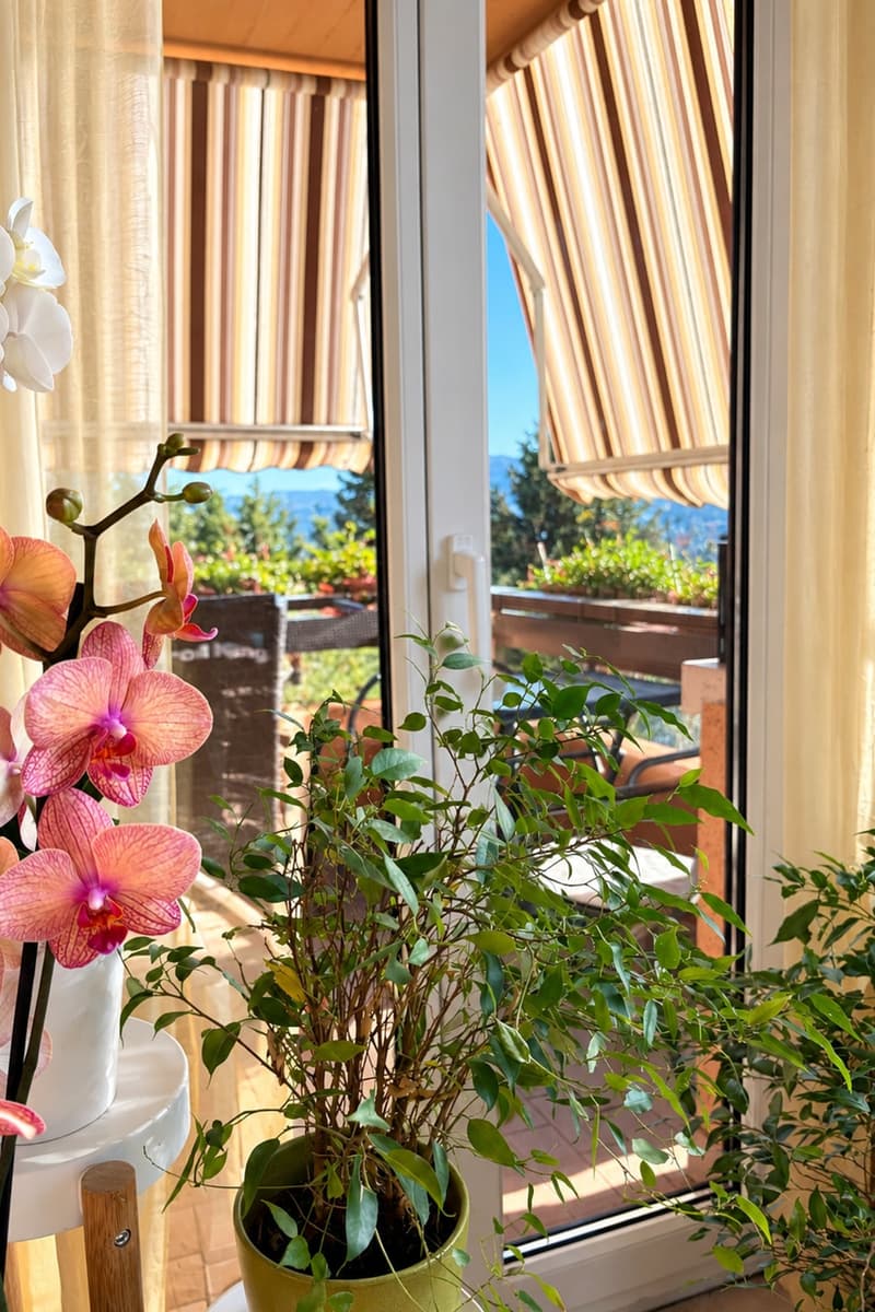 Luminoso appartamento 3,5 panoramico con cucina rinnovata e balcone (4)