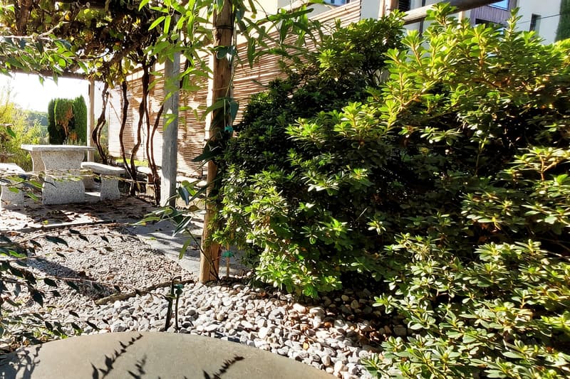 Appartamento 5,5 ristrutturato con giardino privato e tre balconi (10)