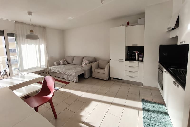 Ampio appartamento 2,5 locali arredato con balconcino (3)