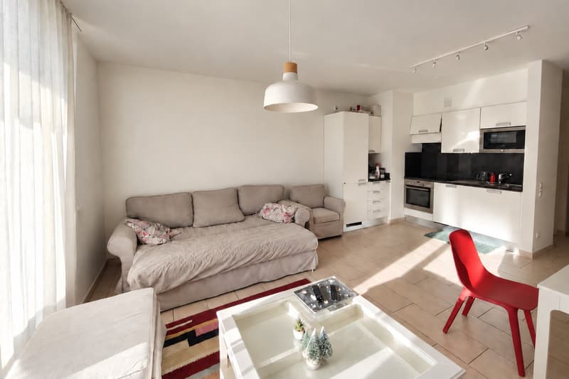 Ampio appartamento 2,5 locali arredato con balconcino (2)