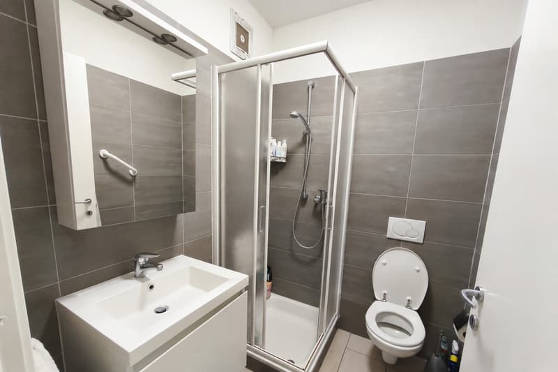 Ampio appartamento 2,5 locali arredato con balconcino (8)