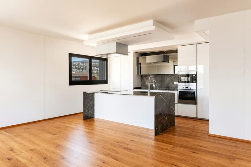 Elegante attico 4,5 con roof top privato e piacevole vista aperta (4)