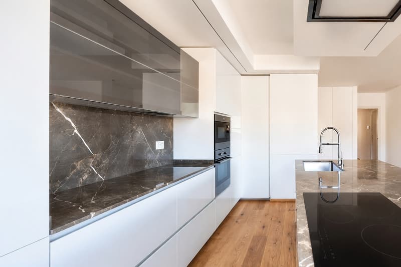 Elegante attico 4,5 con roof top privato e piacevole vista aperta (6)