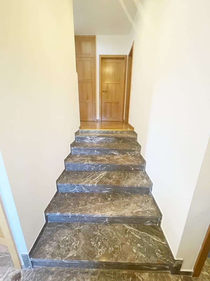 Casa 4,5 completamente ristrutturata con grande giardino e ampio fondo (15)